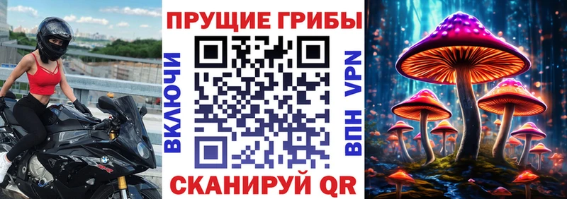 OMG маркетплейс  Таганрог  Псилоцибиновые грибы GOLDEN TEACHER  наркотики 
