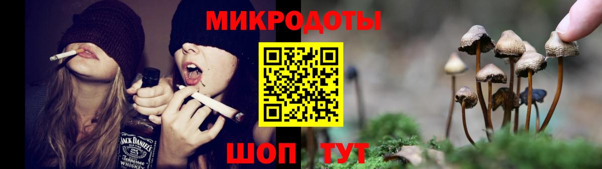 Псилоцибиновые грибы Cubensis  Вход с VPN  Таганрог  Псилоцибиновые грибы GOLDEN TEACHER 